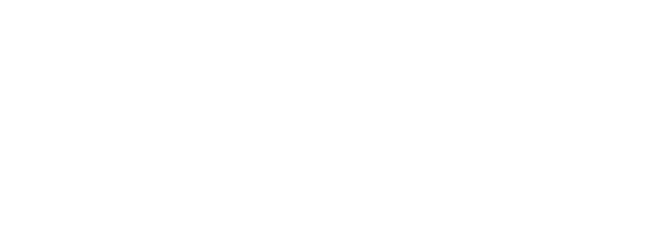 The Total Education Experience Footer Logo